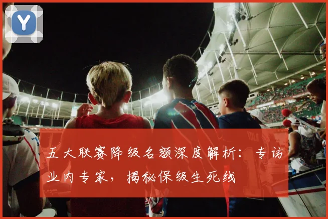 五大联赛降级名额深度解析：专访业内专家，揭秘保级生死线
