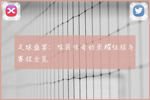 足球盛宴:绿茵传奇的荣耀征程与赛程全览