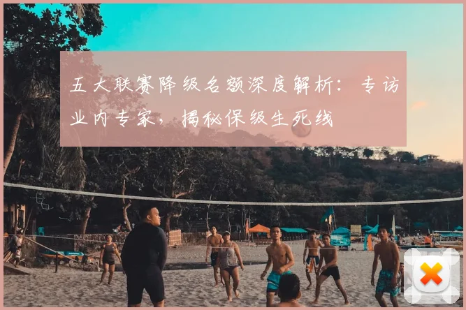 五大联赛降级名额深度解析：专访业内专家，揭秘保级生死线